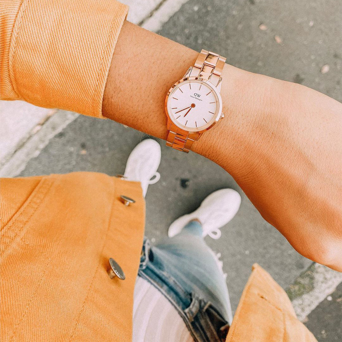 Daniel wellington best sale watches sizes