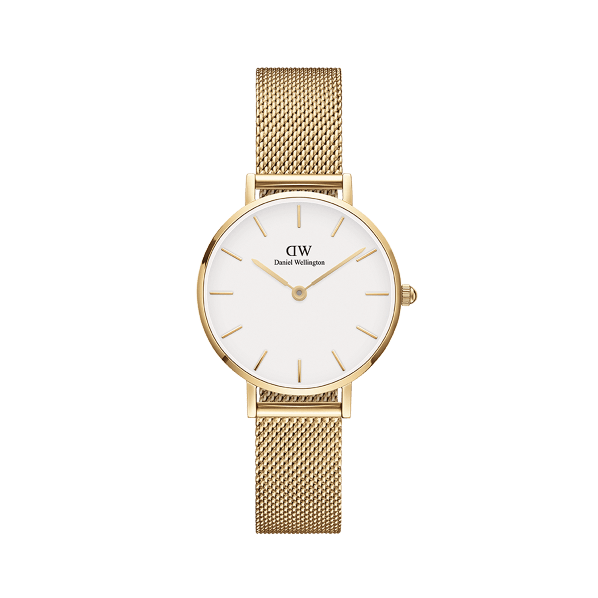 Petite Evergold – Gold & White in 36 mm | DW